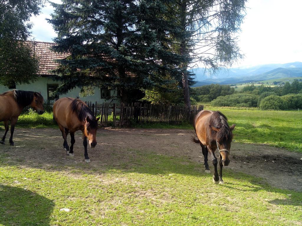 Kozí Dvor Rohozná Apartamento Brezno Exterior foto