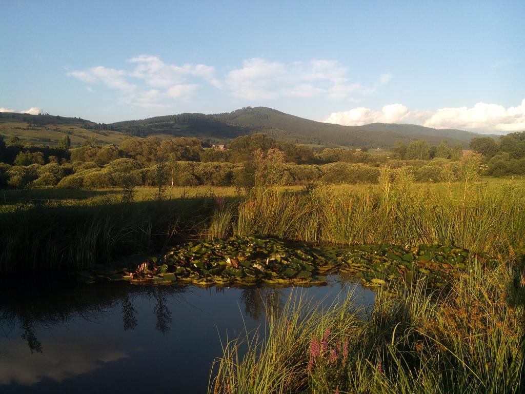 Kozí Dvor Rohozná Apartamento Brezno Exterior foto